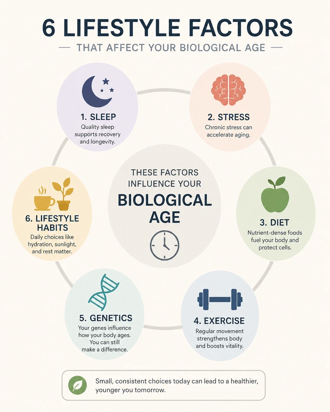 Lifestyle factors affecting biological age including sleep diet exercise stress